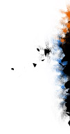 descent